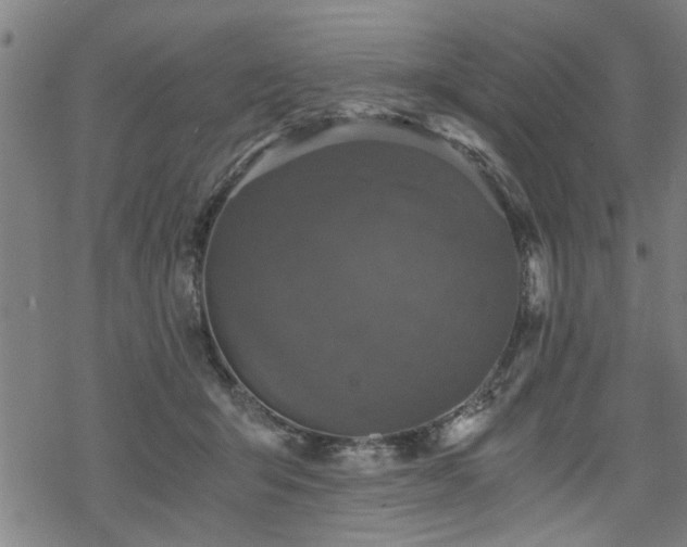 X0000069810415200605191050