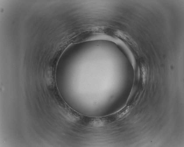 X0000069810416200605191050