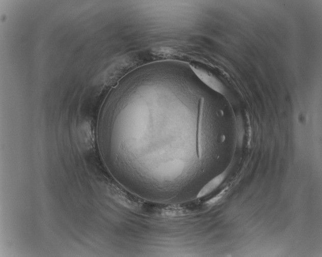 X0000069810420200605191050