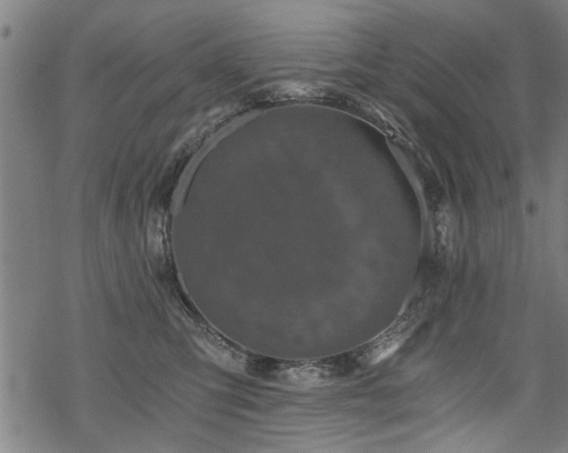 X0000069810423200605191050