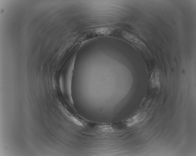 X0000069810424200605191050