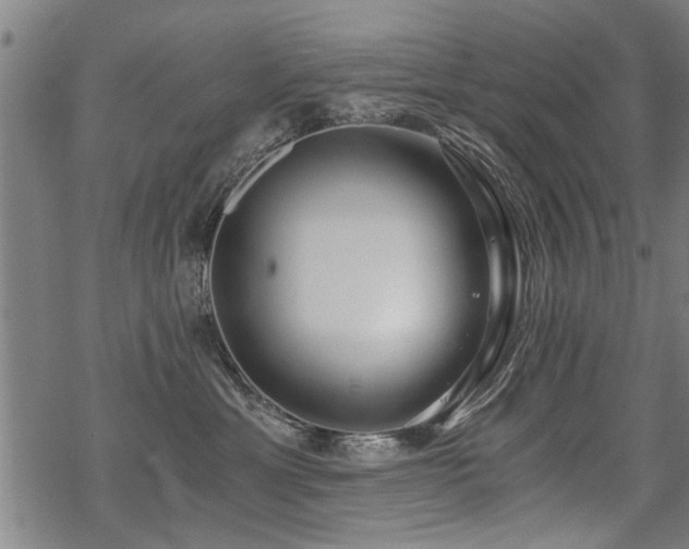 X0000069810429200605191050