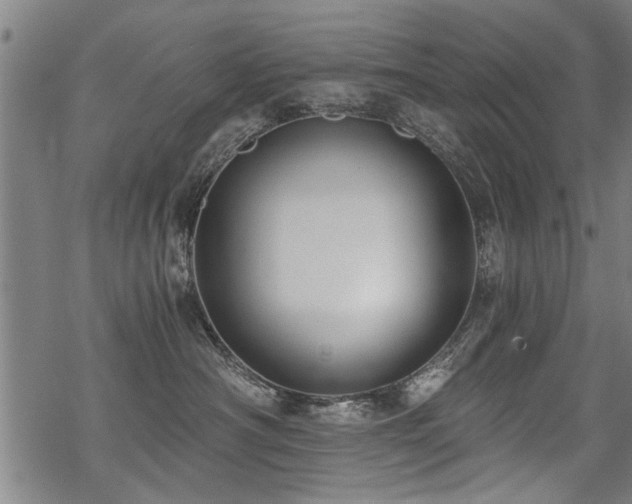 X0000069810430200605191050