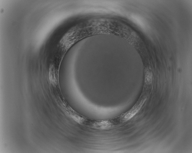 X0000069810431200605191050