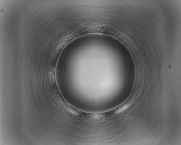 X0000069810432200605191050