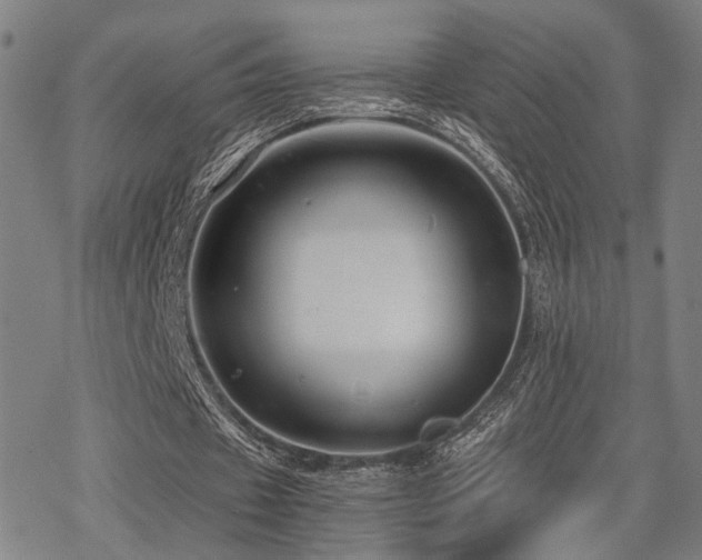 X0000069810433200605191049