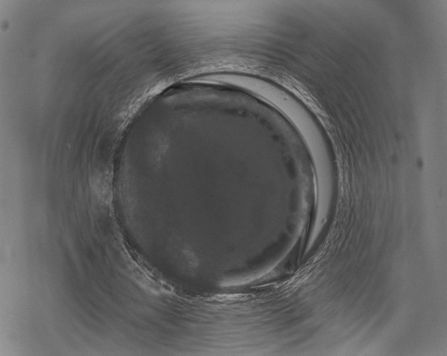 X0000069810434200605191049