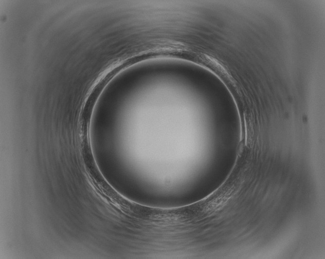 X0000069810435200605191049