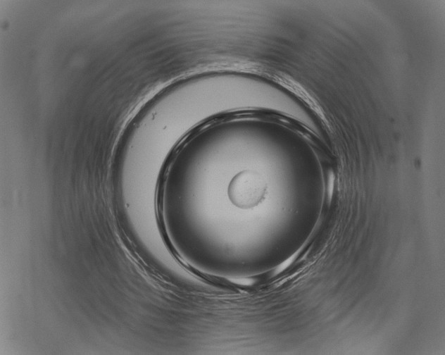 X0000069810436200605191049