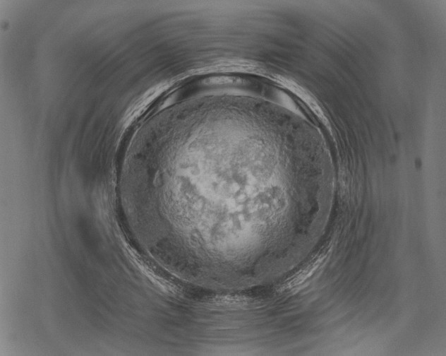 X0000069810437200605191049