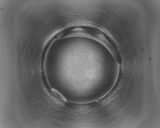 X0000069810438200605191049