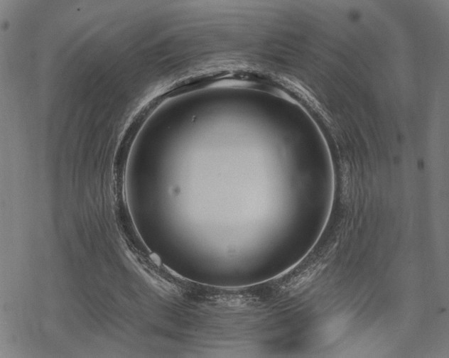 X0000069810439200605191049