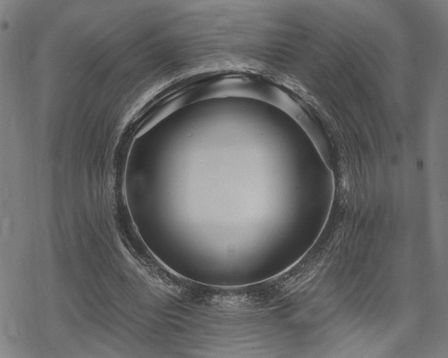 X0000069810440200605191049