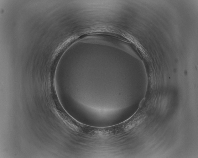 X0000069810442200605191049