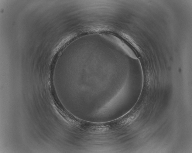 X0000069810443200605191049