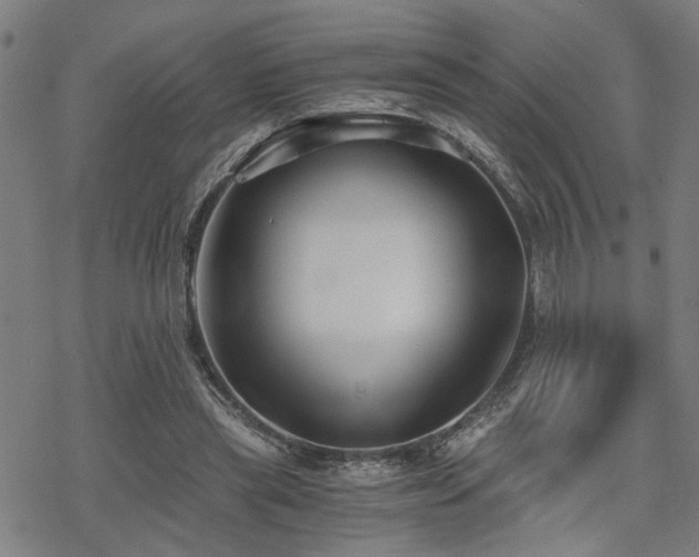 X0000069810445200605191050