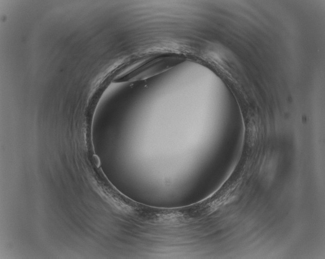 X0000069810446200605191050