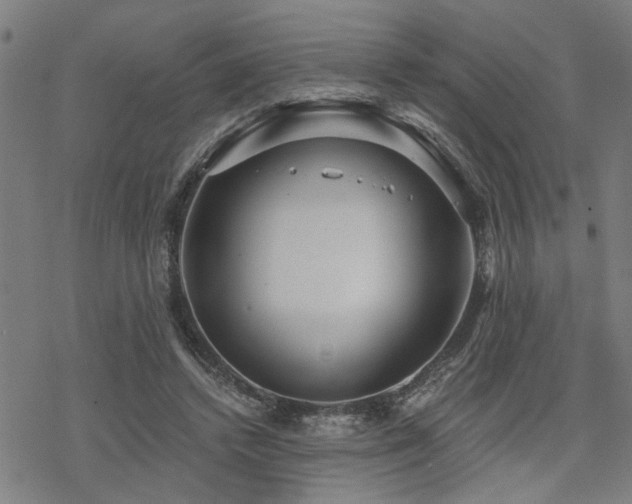 X0000069810448200605191050