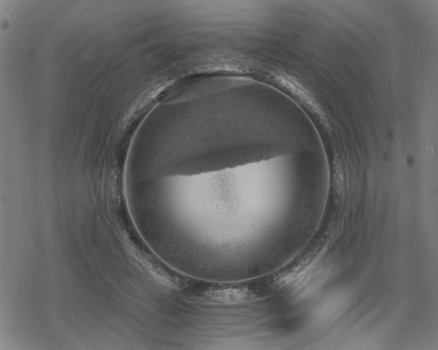 X0000069810449200605191050