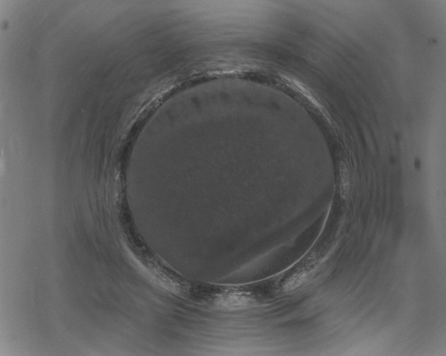 X0000069810451200605191050