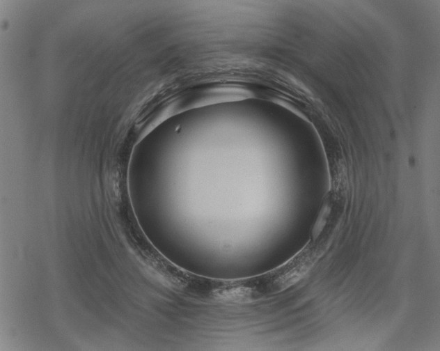 X0000069810452200605191050