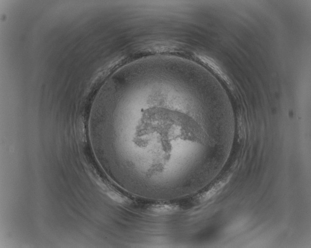 X0000069810453200605191050