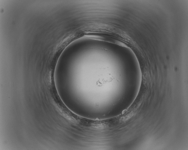 X0000069810454200605191050