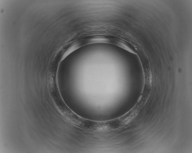 X0000069810456200605191050