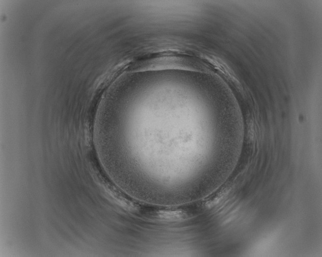 X0000069810457200605191050