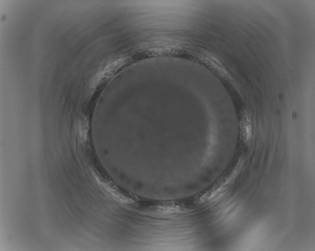 X0000069810458200605191050