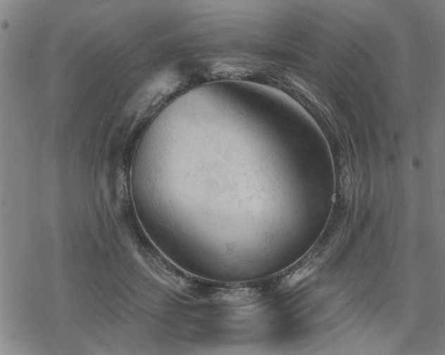 X0000069810459200605191050