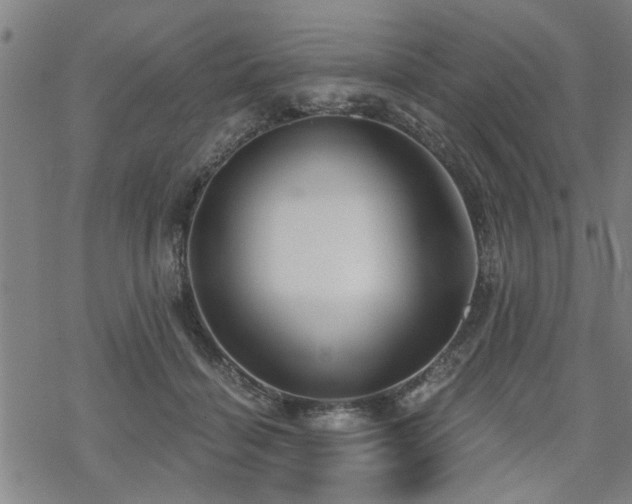 X0000069810460200605191050