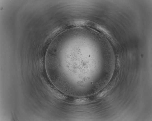 X0000069810461200605191050