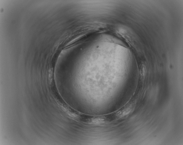 X0000069810462200605191050