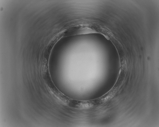 X0000069810464200605191050