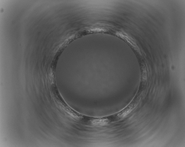 X0000069810465200605191050