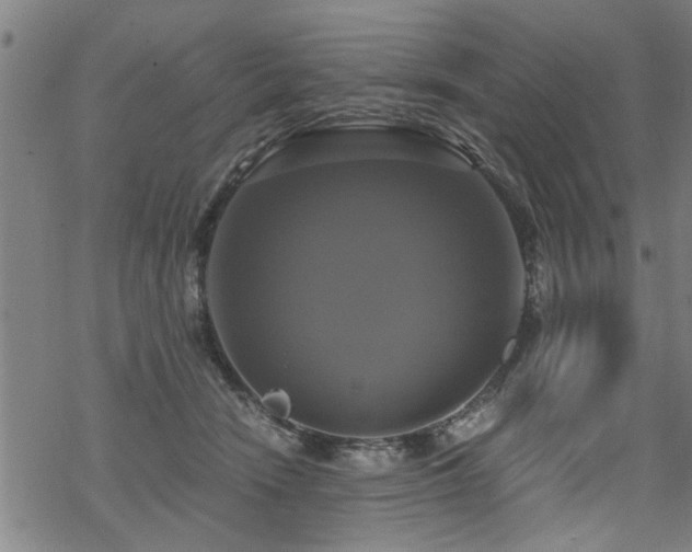 X0000069810466200605191050