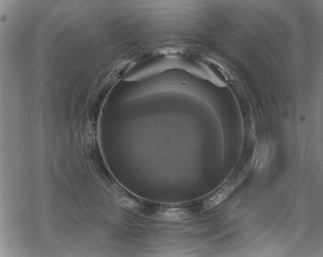 X0000069810467200605191050