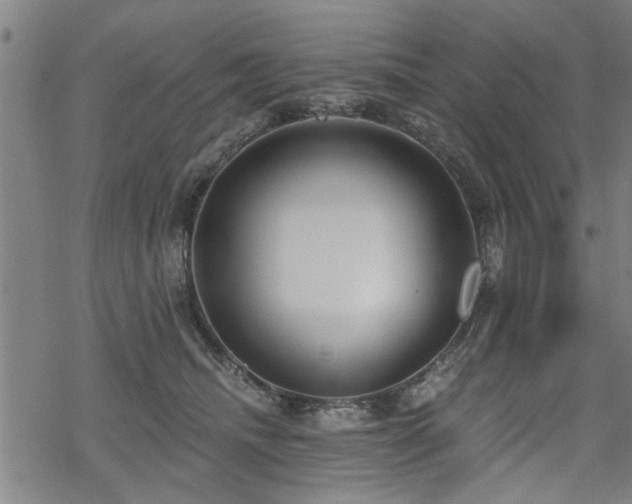 X0000069810468200605191050