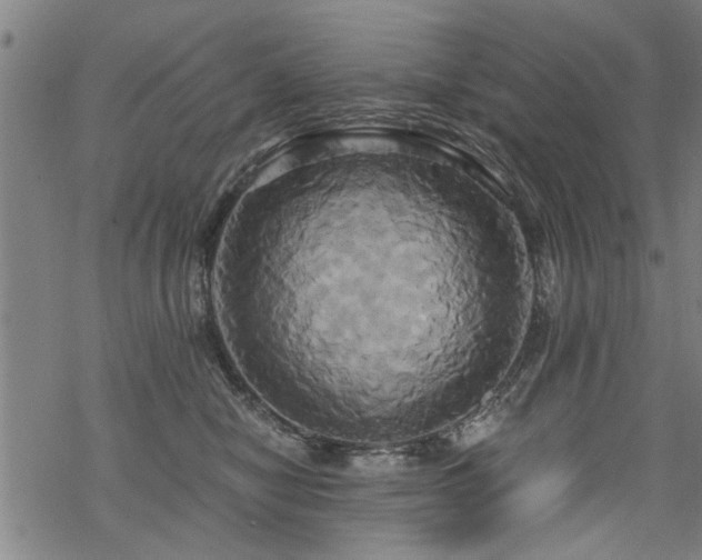 X0000069810470200605191050