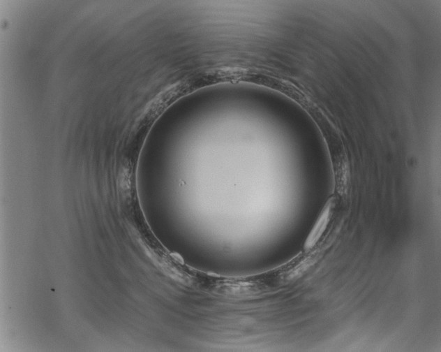 X0000069810472200605191050