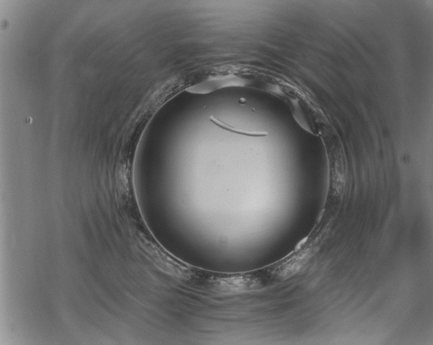 X0000069810473200605191050