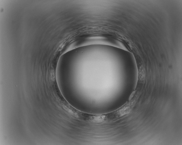 X0000069810474200605191050