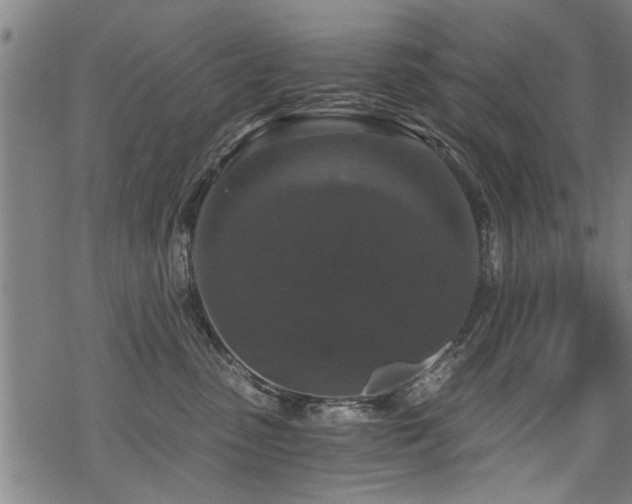 X0000069810475200605191050