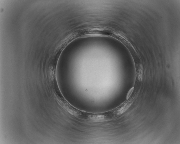 X0000069810476200605191050