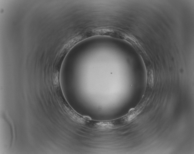 X0000069810477200605191050