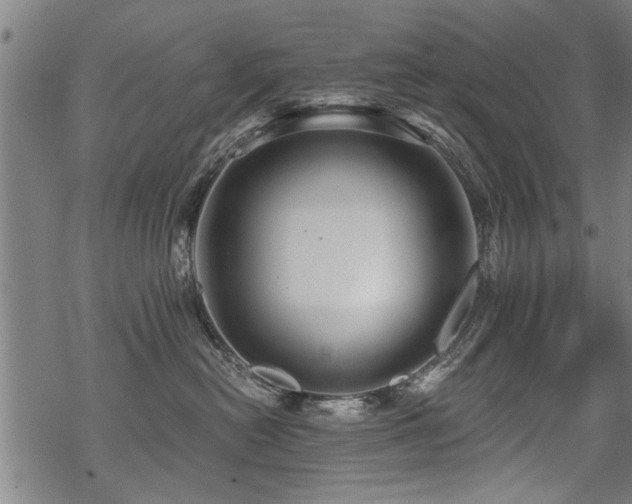 X0000069810478200605191050