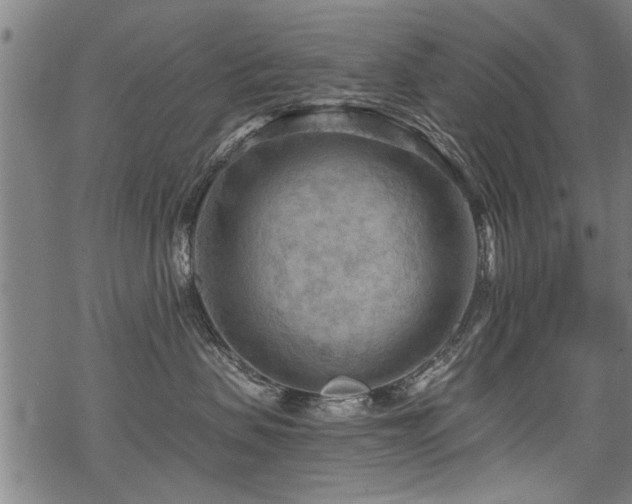 X0000069810479200605191050