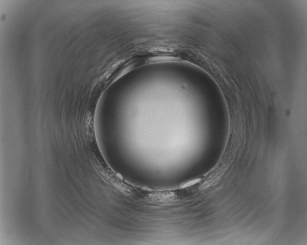 X0000069810480200605191050