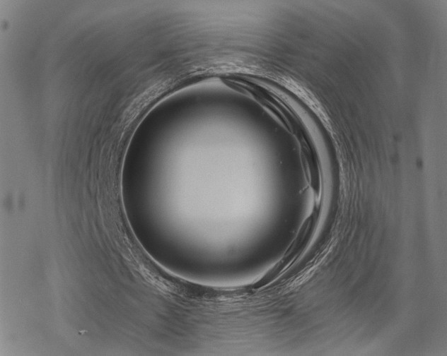 X0000069810481200605191049